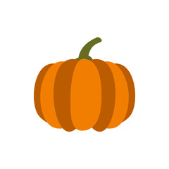 Pumpkin icon in flat style isolated on white background. Plant symbol