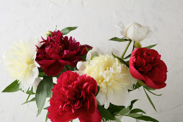 Red and white peonies on background