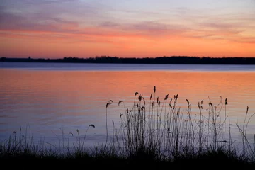 Tapeten Sonnenuntergang auf einem See mit Schilf, Spinnweben zwischen den Blättern © AVTG
