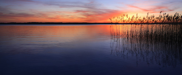 Coucher de soleil sur un lac aux roseaux