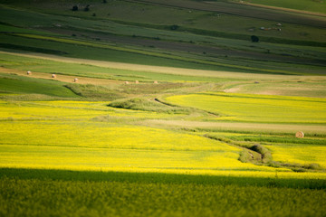 Fototapeta premium Castelluccio di Norcia