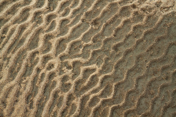 sandy background