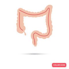 Human intestines color flat icon