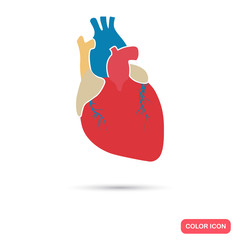 Human heart color flat icon