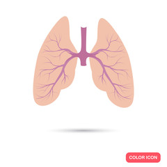 Human lungs color flat icon