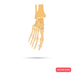 Foot skeleton color flat icon