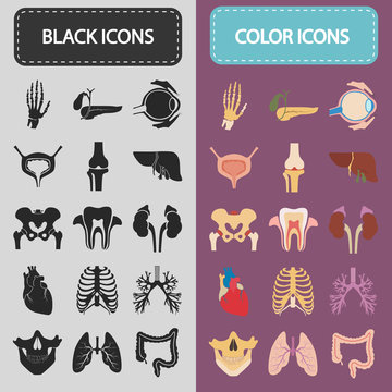 Set of sixteen human organs and anatomic parts color and black flat icons