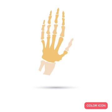 Human hand skeleton color flat icon