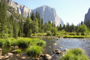 Yosemite National Park