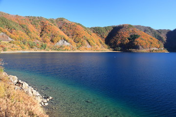 Naklejka premium 本栖湖の秋