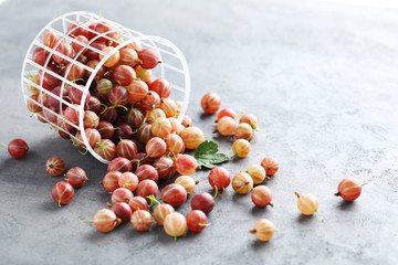 Gooseberries fruit on a grey table