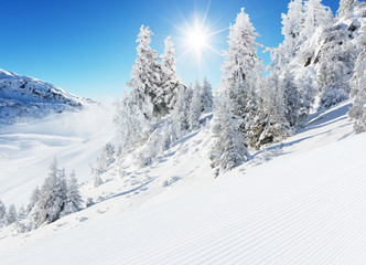 Beautiful winter landscape with ideal piste