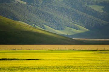 Castelluccio di Norcia