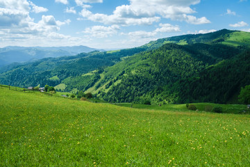 Fototapeta premium Green Carpathians meadow and mountains landscape