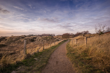 D&uuml;nenlandschaft