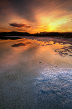 Marais salant au lever du soleil - &eacute;tang de Bages-Sigean - Languedoc-Roussillon
