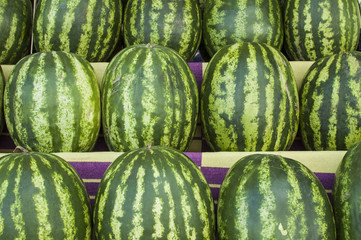 watermelons standing in row at the market