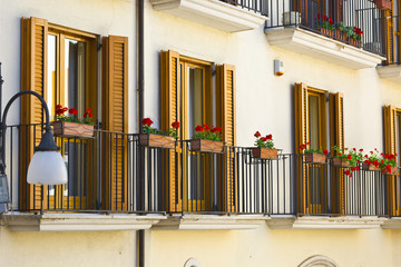 Balconies with Flowers