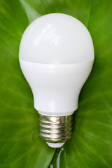 LED bulb with lighting on the green leaf - The Eco friendly technology