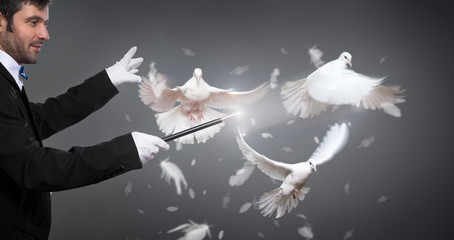 Obraz na płótnie Canvas magician performs the trick with a pigeon