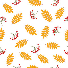 Autumn seamless pattern with rowan