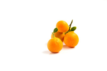 Orange Kumquat placed on white background