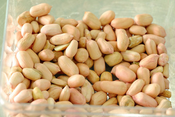 closeup groundnuts seed in box