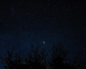 The stars in the night sky.