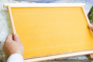 The beekeeper has control over a framework with new honeycomb © denfotoblog