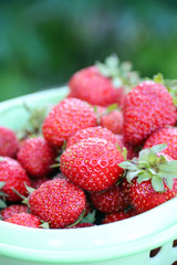 Ripe strawberries