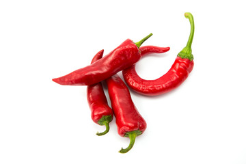 Chili pepper isolated on white background