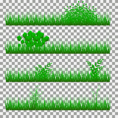 grass, shrubs. A set of various types of grass. Set of grass on a transparent background. 