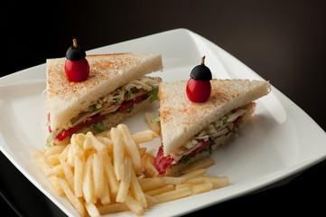 two sandwiches in a square white plate with fries