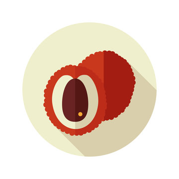 Lychee flat icon. Tropical fruit