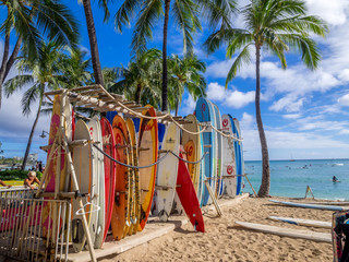 Surfboards lined up on Waikiki beach. - obrazy, fototapety, plakaty