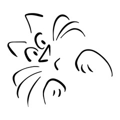 White cat flexes his front paws