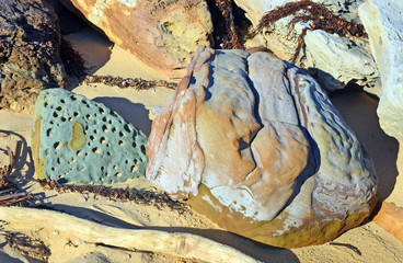 Shapes and patterns of colorful weathered Sydney (Hawkesbury) sandstone sculpted by wind and water, on the New South Wales coast