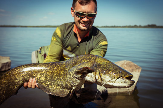 Happy Angler With Catfish Fishing Trophy 