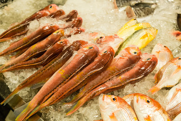 Assorted fish at fishmarket