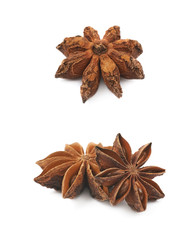 Chinese star anise seed isolated