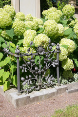 Ein Grab voller Hortensien 