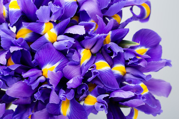 Iris flowers background, spring floral patern.