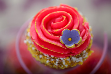 Bollywood style cupcake, decorated with pink piped icing and sugar flower