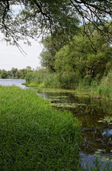 Havel river at summer time (Brandenburg, Germany).