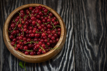 Fresh red currants