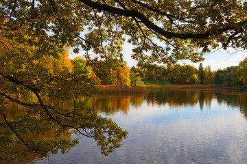 Park in red and orange colors 