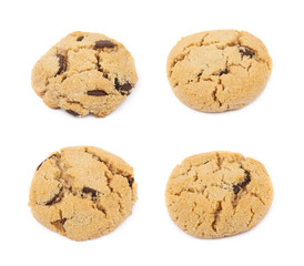 Chocolate chip cookie isolated