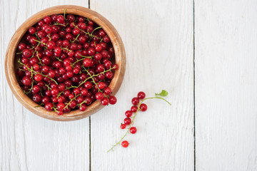 Fresh red currants