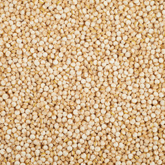 Surface coated with quinoa seeds