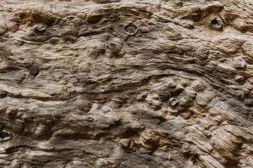 There are the wood wall. It is good background.